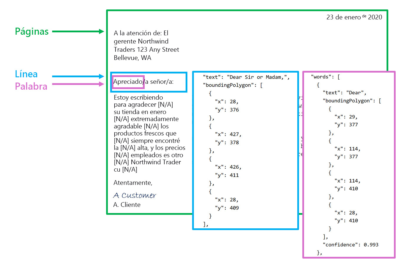 A screenshot showing bounding boxes around the page, line, and word of a letter.