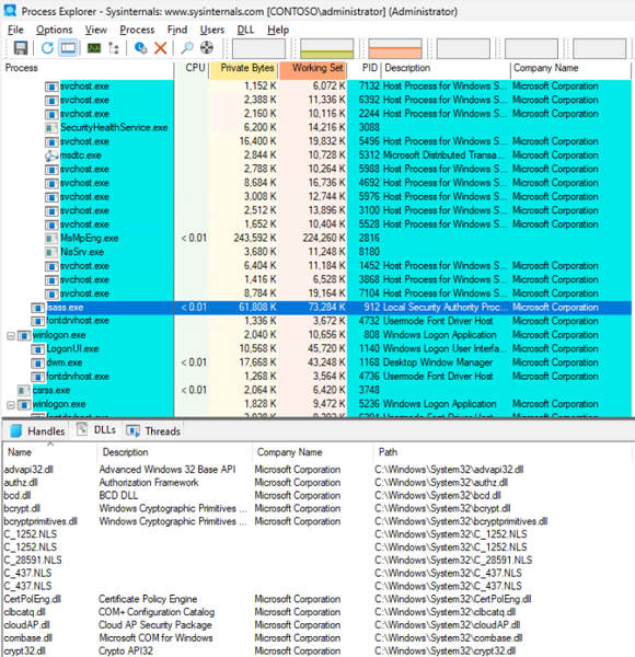 Captura de pantalla del Explorador de procesos con archivos DLL cargados o módulos.