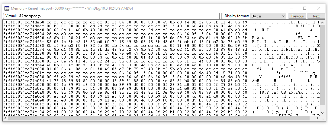 Captura de pantalla de la ventana de visualización de memoria de WinDbg con varias opciones de formato de visualización.