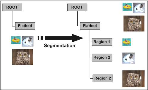 diagrama que ilustra un árbol de elementos para el examen de varias regiones.