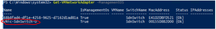 PowerShell mostrando vnic que debe limpiarse