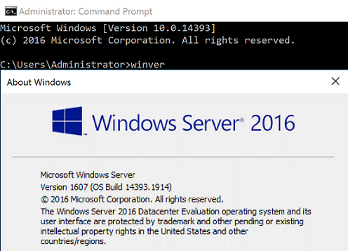 Captura de pantalla del comando winver que muestra la versión 1607 de Windows Server 2016 y la compilación 14393 del sistema operativo.