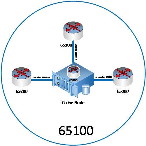 Diagrama que muestra la relación entre el nodo de caché y otros ASN/enrutadores cuando se usa BGP. El enrutamiento BGP permite que el nodo de caché se enrute a otros proveedores de red con distintos ASN.