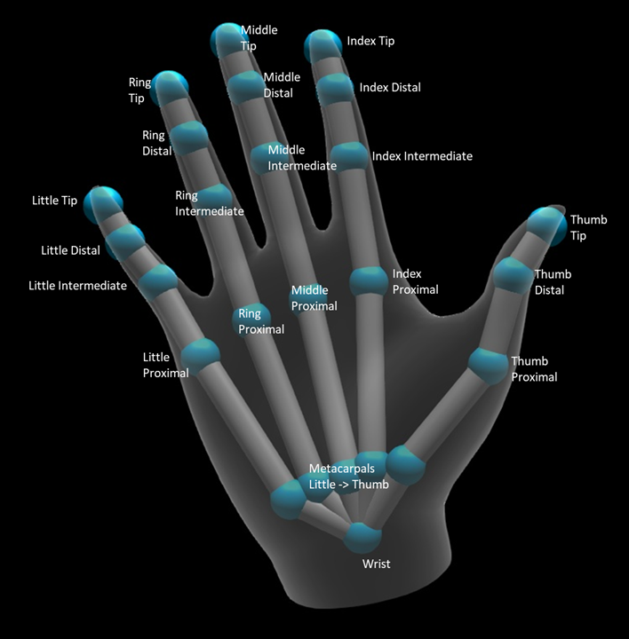 Imagen de esqueleto de mano con superposición de articulaciones