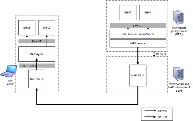 arquitectura de la comunicación de servidor a cliente en la plataforma nap