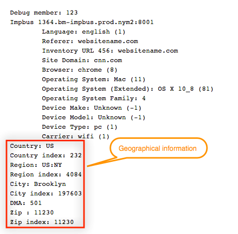 Captura de pantalla de información geográfica de un registro de depuración de ejemplo.