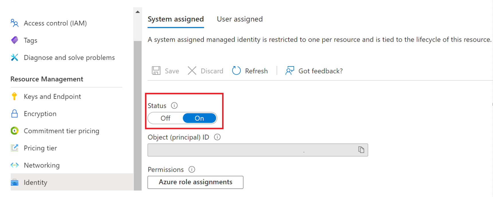 Captura de pantalla que muestra la pestaña identidad de administración de recursos en Azure Portal.