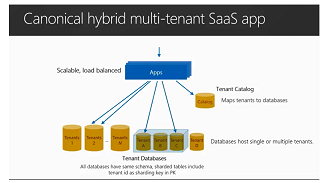 Aplicación de SaaS híbrida canónica multiinquilino