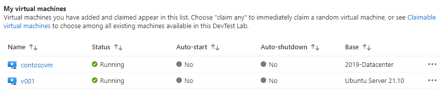 Captura de pantalla que muestra la lista de máquinas virtuales únicas en la lista de máquinas virtuales de DevTest Labs.