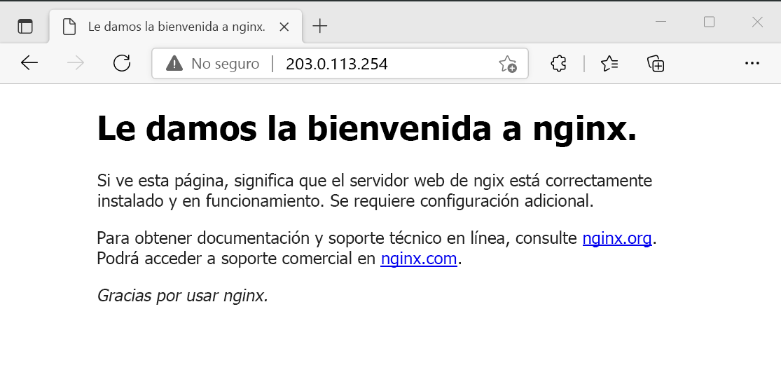 Captura de pantalla de la prueba del servidor web NGINX.