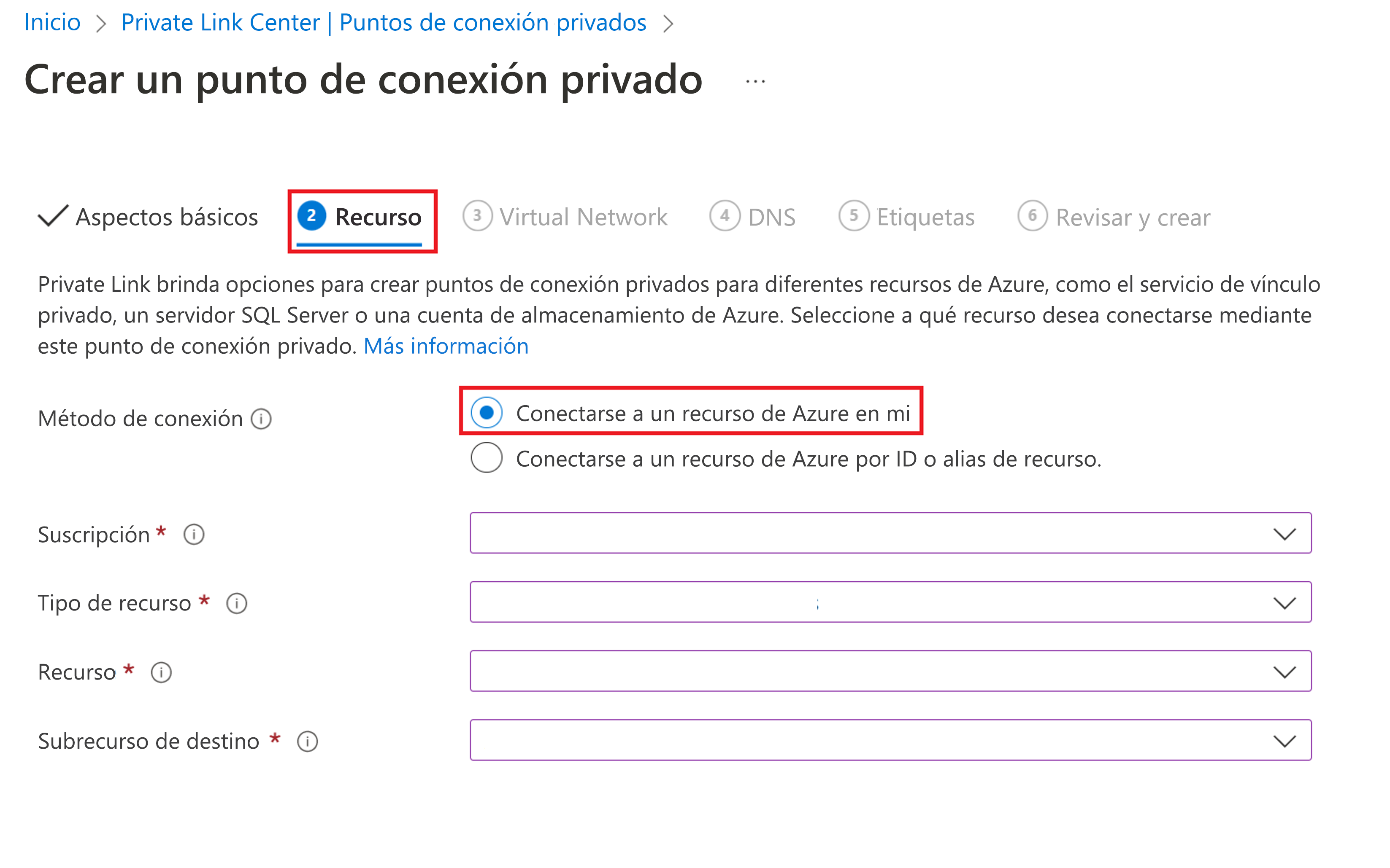 Captura de pantalla que muestra la pestaña Recurso para realizar la vinculación a un punto de conexión privado.