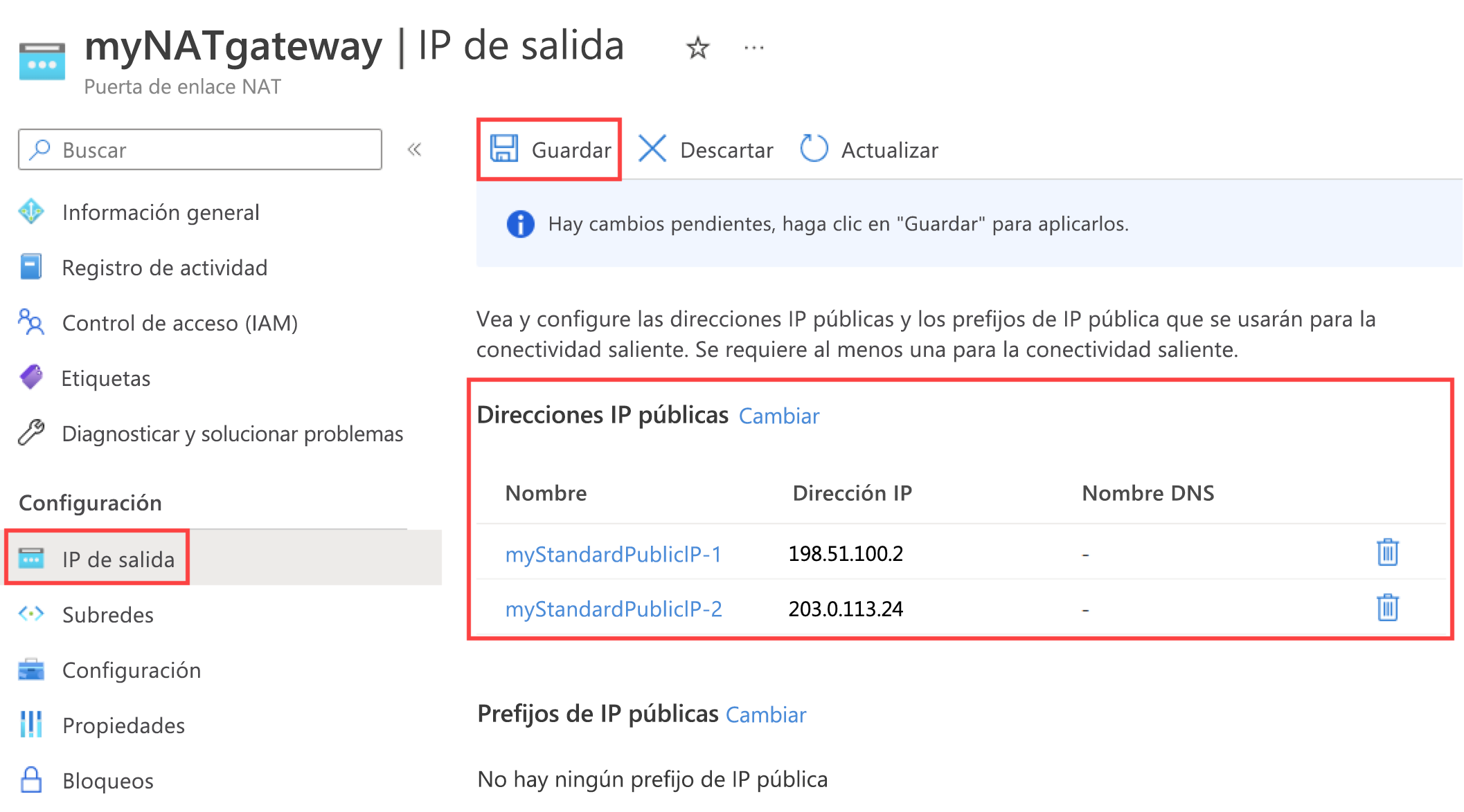 Captura de pantalla de la página de configuración de IP de salida de puerta de enlace NAT en la que se muestra la dirección IP pública agregada.