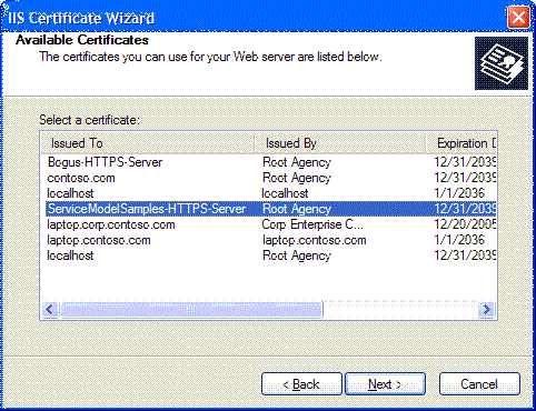 IIS Certificate Wizard