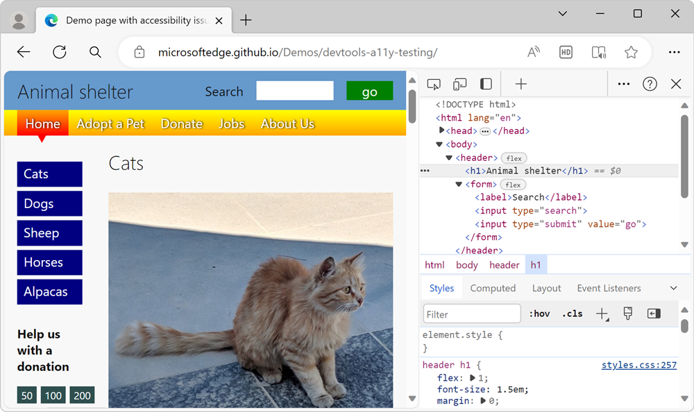 Página de demostración con DevTools junto a ella