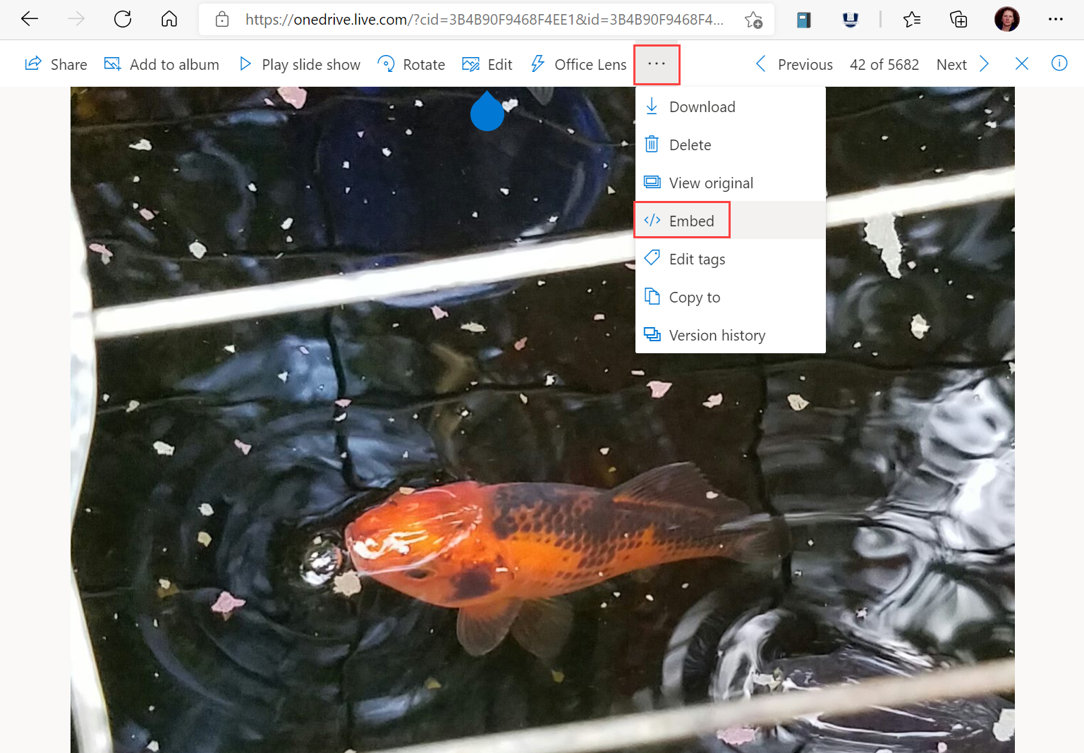 Captura de pantalla de una imagen en OneDrive con el menú desplegable Más opciones y la opción Insertar resaltados.