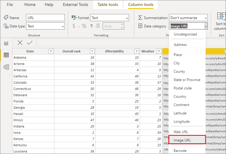 Captura de pantalla del menú Categoría de datos con la opción Dirección URL de la imagen resaltada.