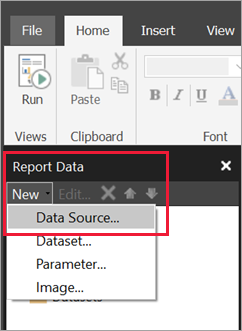 Captura de pantalla de Nuevo origen de datos en el panel Datos de informe.