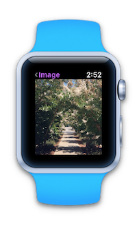 Apple Watch que muestra la imagen