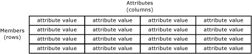 Entidad de Master Data Services representada como tabla