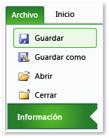 Pestaña Información en Excel