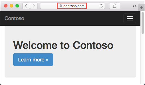 Web app with custom TLS/SSL certificate.