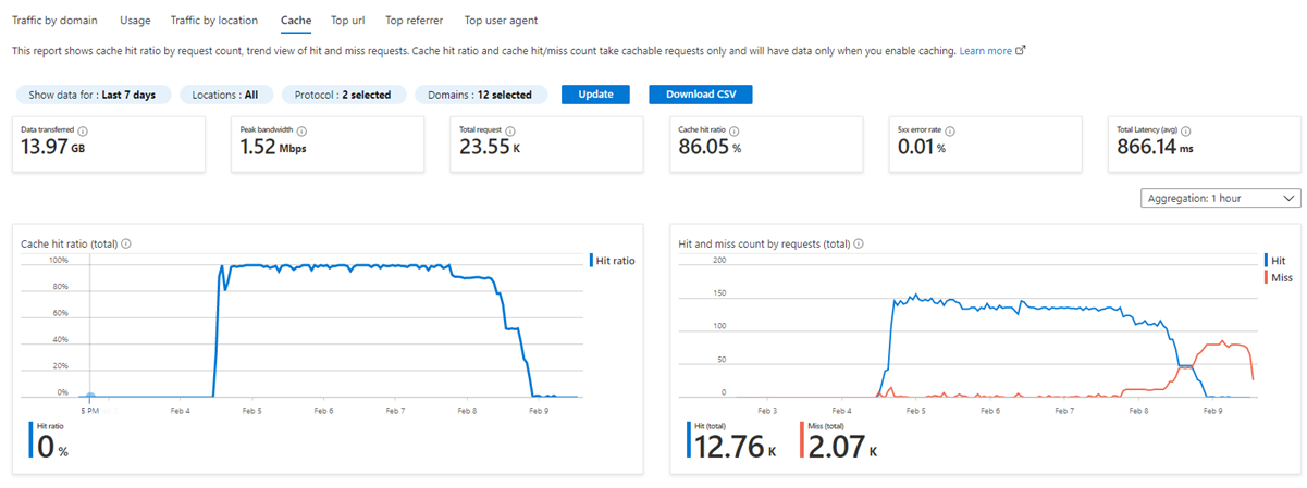 Screenshot of the 'Caching' report.