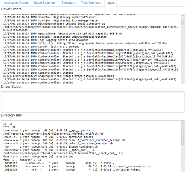 Spark Job View Log details.