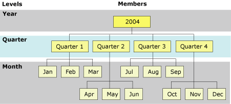 Level and member hierarchy for a time dimension