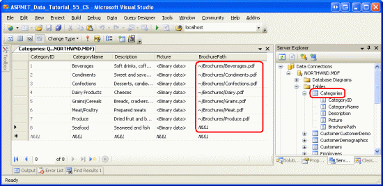 Manually Enter the Values for the Categories Table s BrochurePath Column