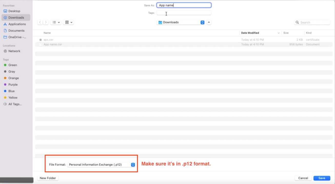 Screenshot that shows the area for saving a certificate file.