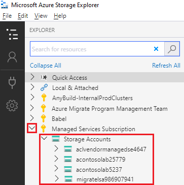 Screenshot that shows the storage accounts for a selected Azure subscription.