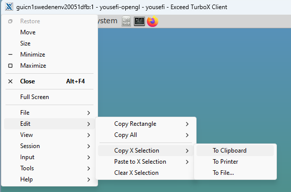 Screenshot of Windows ETX copy/paste menu.