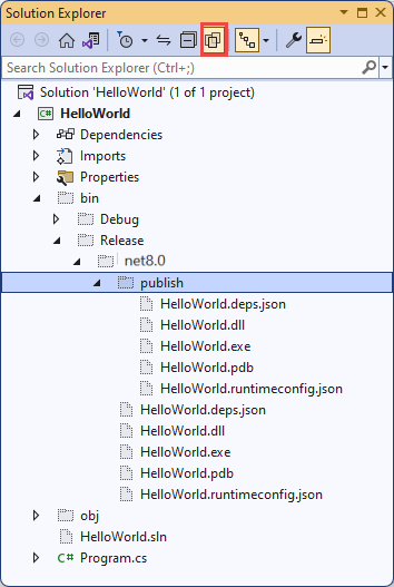 Solution Explorer showing published files