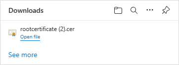 Root Certificate file listed in Downloads dialog of Microsoft Edge
