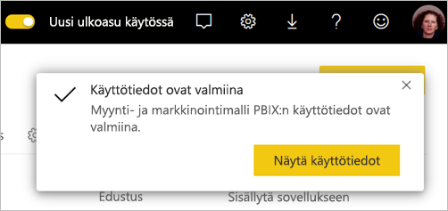 Näyttökuva käyttötietoraportin valmistelusta.