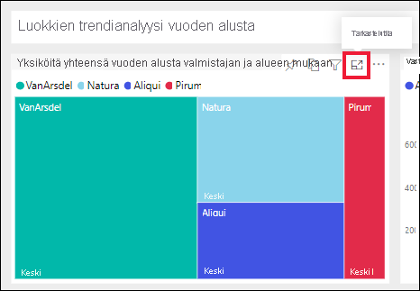 Näyttökuva, jossa näkyy ruudun tarkastelutilakuvake.