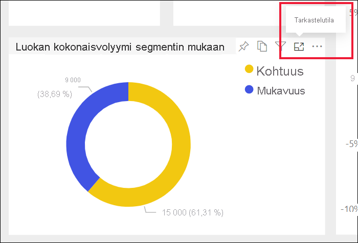 Näyttökuva raportin visualisoinnista, jossa tarkastelutilakuvake on valittuna.