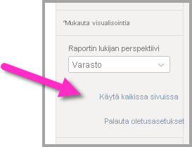 Näyttökuva, jossa näytetään, miten perspektiiviä käytetään koko raportissa.