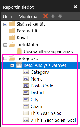 Näyttökuva kentistä, jotka on lueteltu raporttitietoruudun tietojoukon alla.