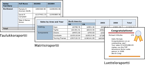 Näyttökuva raportin muodostimen taulukosta, matriisista ja luetteloraporteista.
