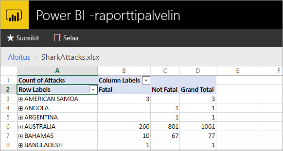 Excel reports viewed from the report server web portal