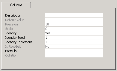 Configuration of a SQL Server column