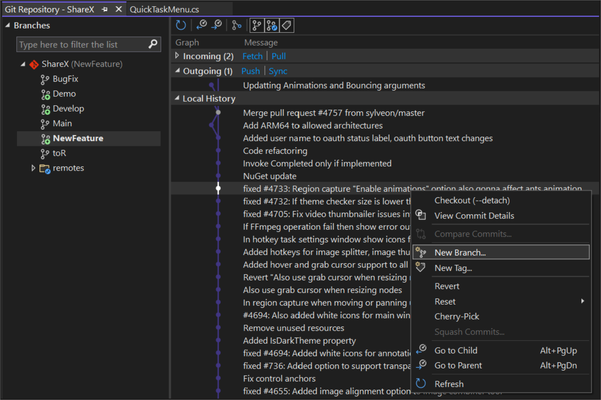 Screenshot of the Git Graph pane of the Git Repository window.