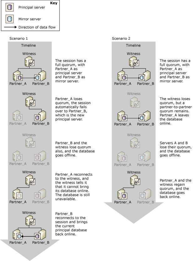 How the witness and partners cooperate