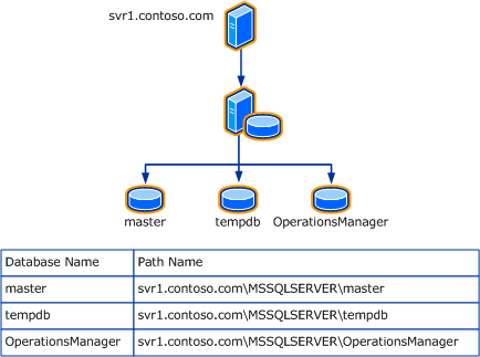 Diagram of a Sample Database Hosting Relationship.