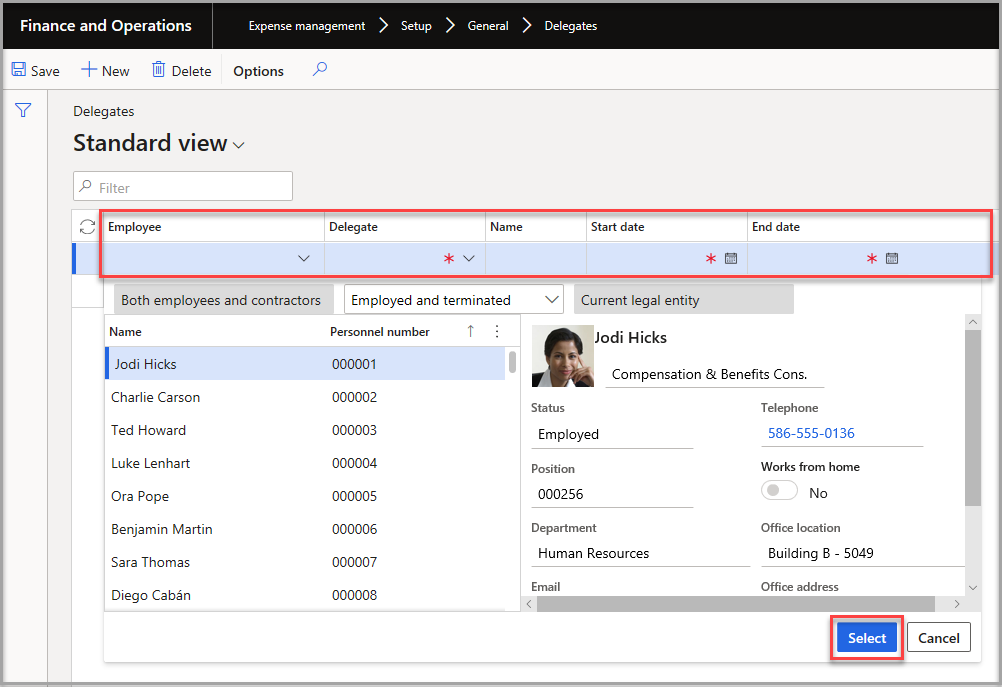 Screenshot of the finance and operations Delegates page.