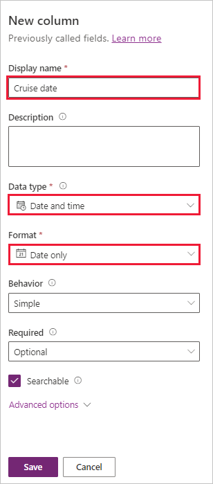 Screenshot of New column pane with Cruise date Date and Time and Date only highlighted.