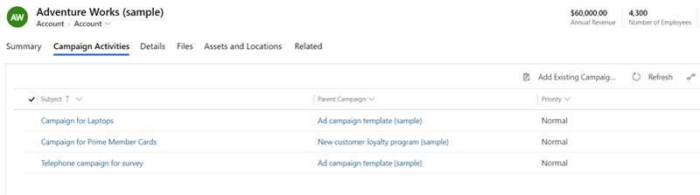 The Campaign Activities tab and the activities subgrid added to the account form.