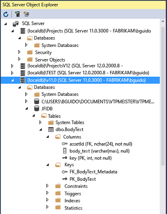 Screenshot that shows the SQL Server Object Explorer window.