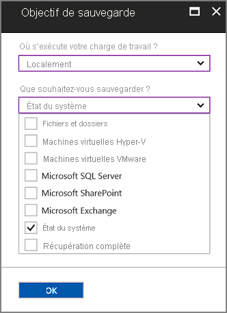 Capture d’écran montrant comment configurer des fichiers et des dossiers.